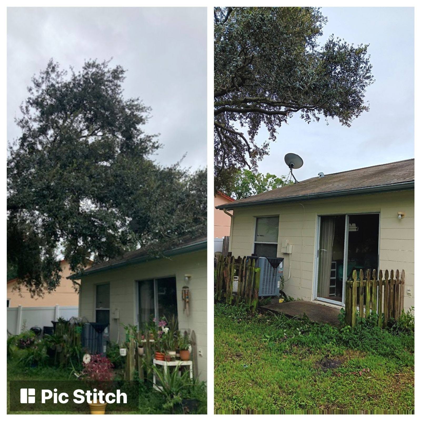 Before and after tree removal over a Central Florida home