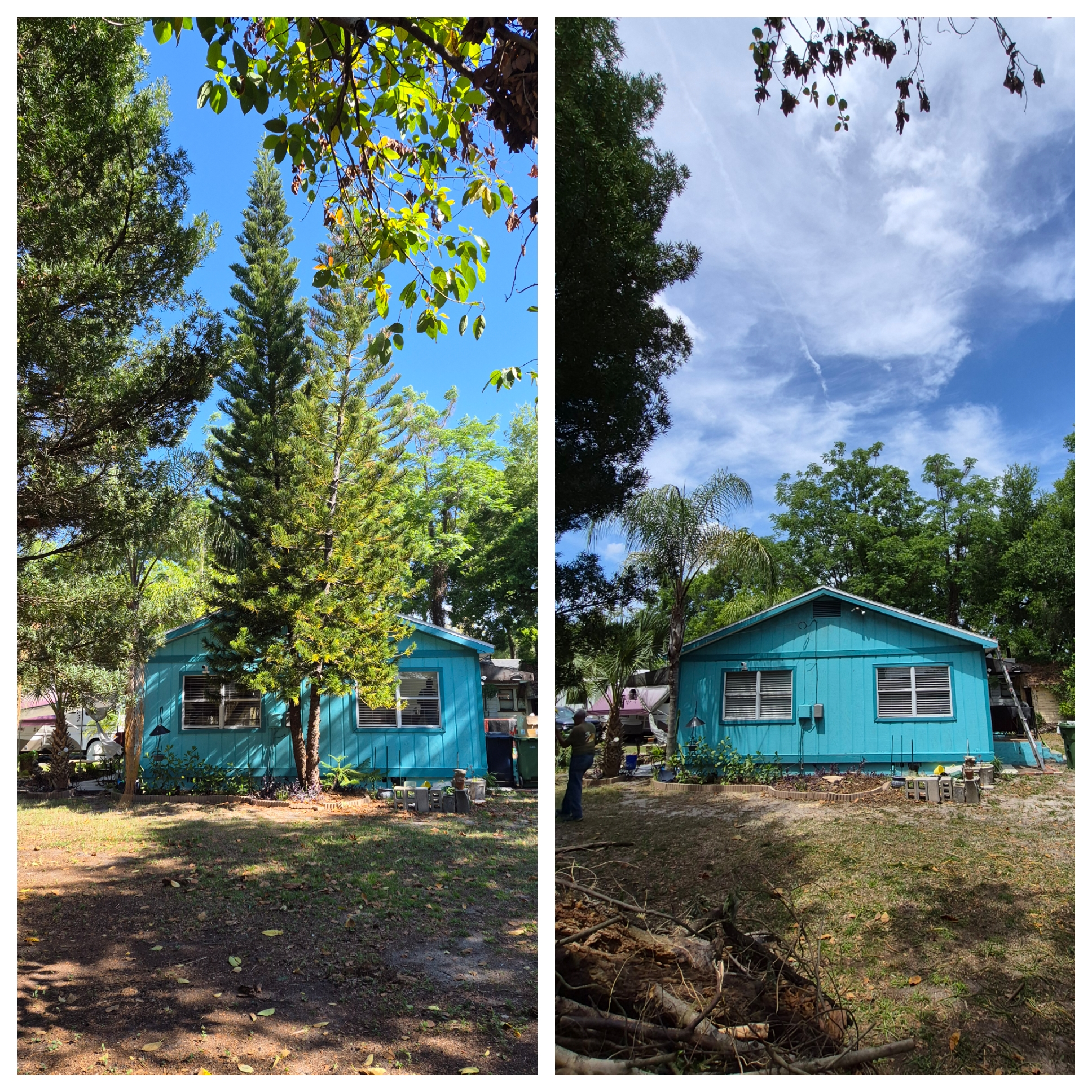 Before and after tree removal and property clearing