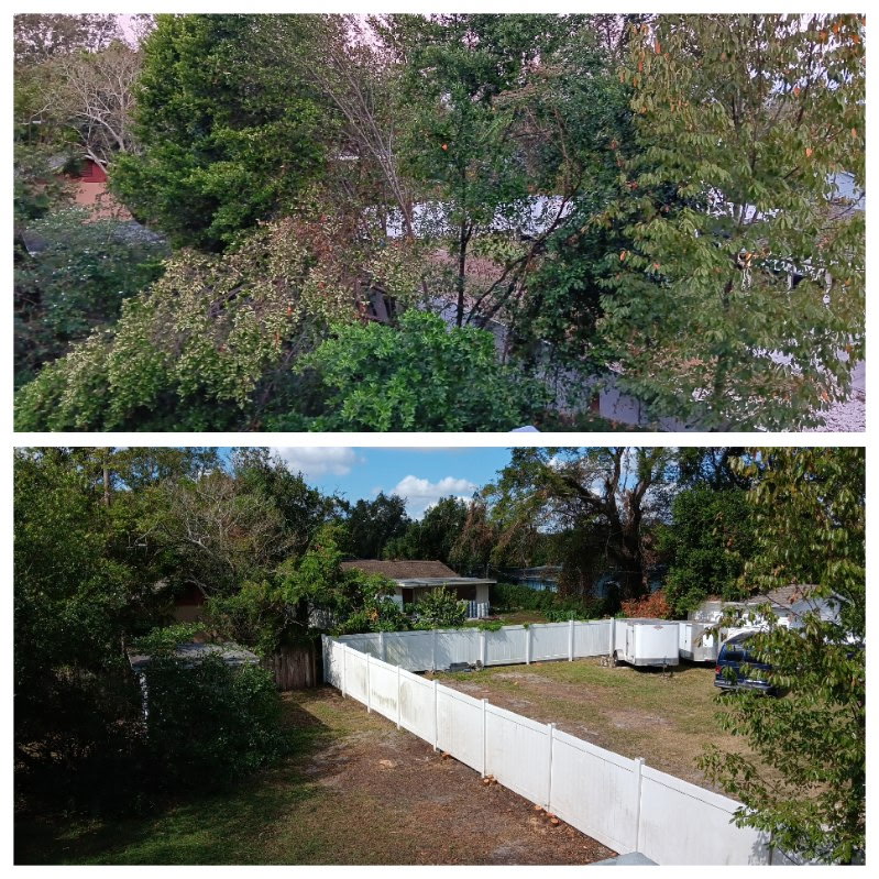 Before and after tree service project in Central Florida